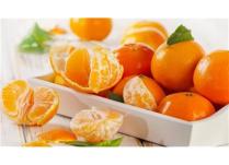 Portokall apo mandarinë? Cili është më i mirë për shëndetin?